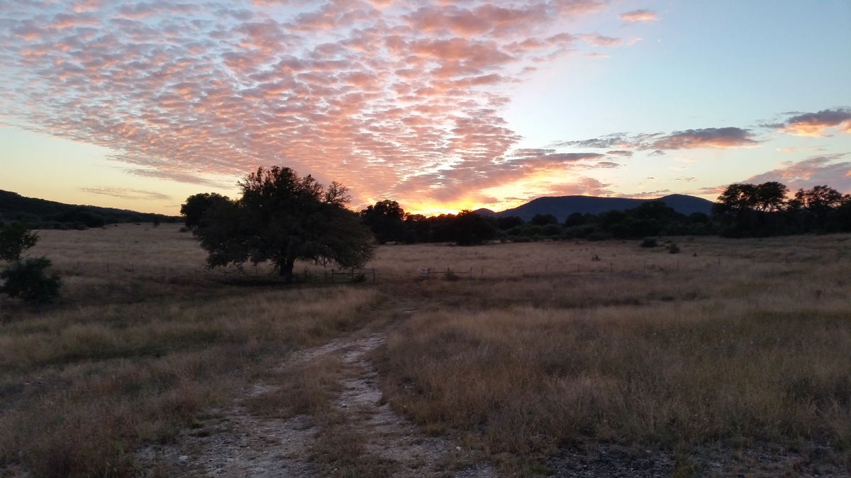 A Texas Hunt to Remember A Texas Hunt to Remember